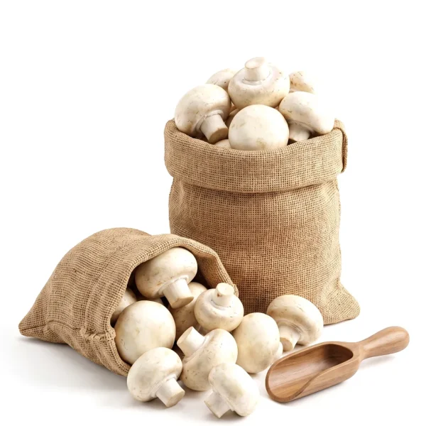 Dried White Fungus