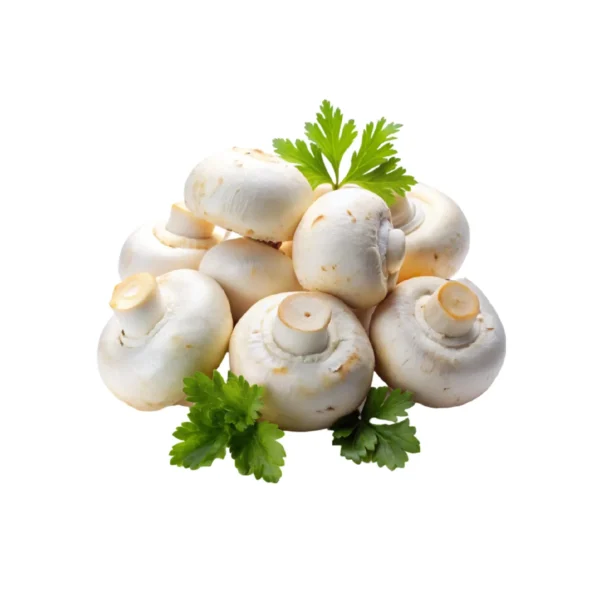 Button Mashroom